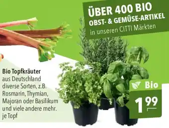 CITTI Markt Bio Topfkräuter Angebot