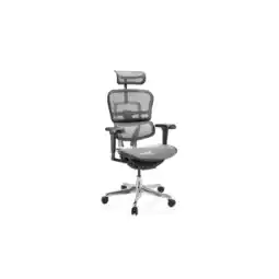 Netto Marken-Discount hjh OFFICE Luxus Chefsessel ERGOHUMAN ULTRA GEN2 Netzstoff mit Armlehnen (höhenverstellbar) Angebot