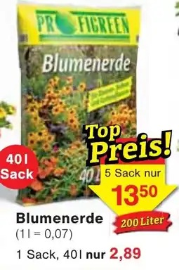 Wiglo Wunderland Blumenerde Angebot