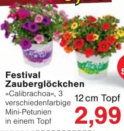 Wiglo Wunderland Festival Zauberglöckchen Angebot