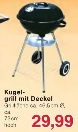 Wiglo Wunderland Kugel grill mit Deckel Angebot