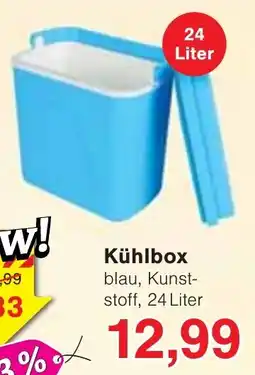 Wiglo Wunderland Kühlbox Angebot