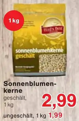 Wiglo Wunderland Sonnenblumenkerne Angebot