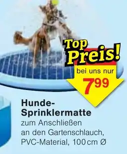 Wiglo Wunderland Hunde Sprinklermatte Angebot