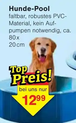 Wiglo Wunderland Hunde-Pool Angebot