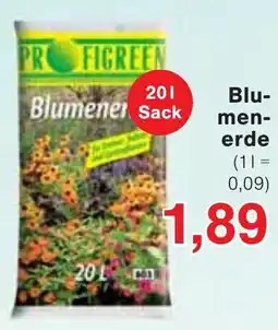 Wiglo Wunderland Blumenerde Angebot