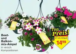 Wiglo Wunderland Beet- und Balkonmix-Ampel Angebot