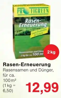 Wiglo Wunderland Rasen-Erneuerung Angebot