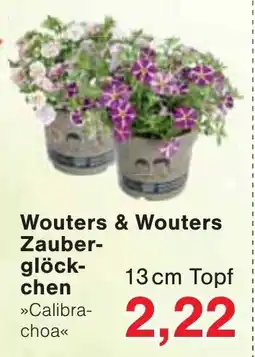 Wiglo Wunderland Wouters & Wouters Zauberglöckchen Angebot