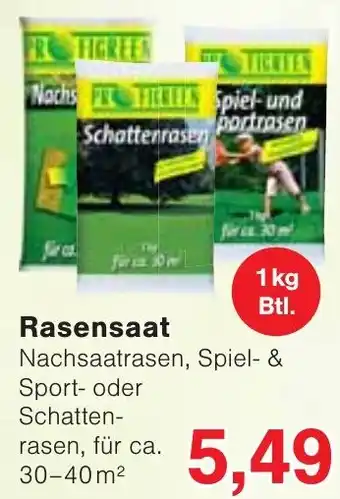 Wiglo Wunderland Rasensaat Angebot