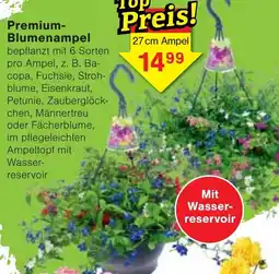 Wiglo Wunderland Premium Blumenampel Angebot
