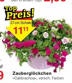 Wiglo Wunderland Zauberglöckchen Angebot