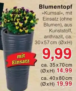 Wiglo Wunderland Blumentopf Angebot