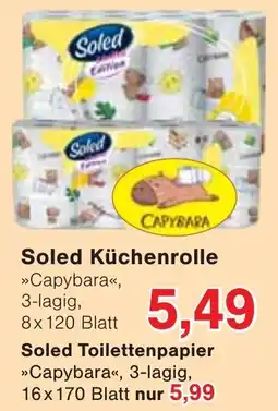 Wiglo Wunderland Soled Küchenrolle Angebot