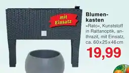 Wiglo Wunderland Blumenkasten Angebot