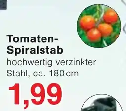 Wiglo Wunderland Tomaten Spiralstab Angebot