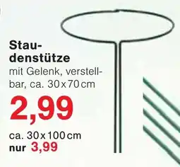 Wiglo Wunderland Staudenstütze Angebot