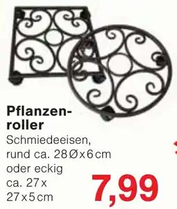 Wiglo Wunderland Pflanzenroller Angebot