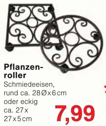 Wiglo Wunderland Pflanzenroller Angebot