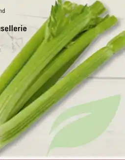Edeka Frischemarkt Staudensellerie Angebot
