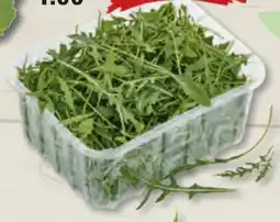 Edeka Frischemarkt Hof Beckedorf Rucola Angebot