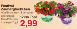 Jawoll Festival Zauberglöckchen Angebot