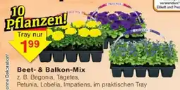 Jawoll Beet- & Balkon-Mix Angebot