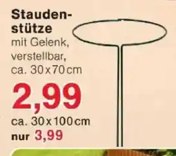 Jawoll Staudenstütze Angebot