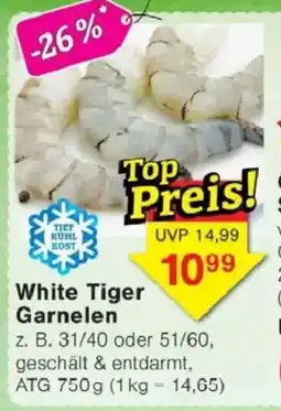 Jawoll White Tiger Garnelen Angebot
