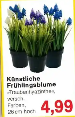 zuckermais bio saatgut BIO Saatgut Zuckermais Sugrano – Biogartenladen main image 0
