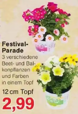 Jawoll Festival Parade Angebot