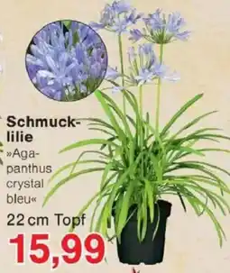 Jawoll Schmuck- lilie Angebot