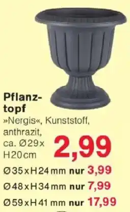 Jawoll Pflanztopf Angebot