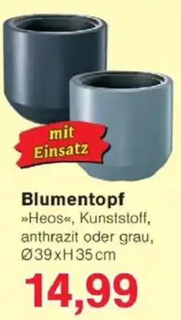 Jawoll Blumentopf Angebot