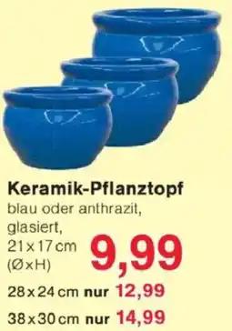Jawoll Keramik-Pflanztopf Angebot