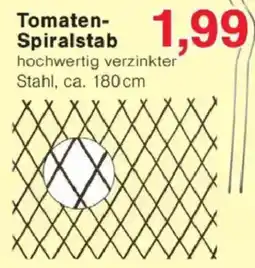 Jawoll Tomaten Spiralstab Angebot