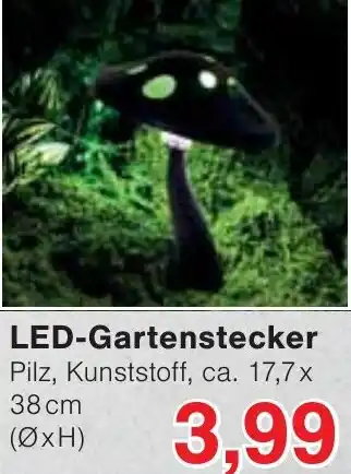 Wiglo Wunderland LED-Gartenstecker Angebot