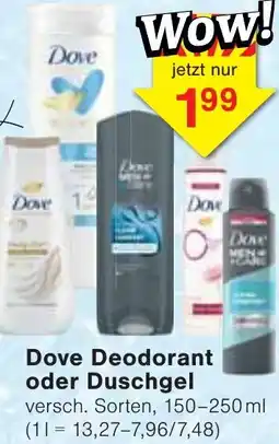 Wiglo Wunderland Dove Deodorant oder Duschgel Angebot