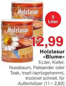 Wiglo Wunderland Holzlasur Blume Angebot
