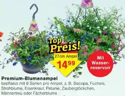Jawoll Premium-Blumenampel Angebot