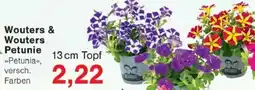 Jawoll Wouters & Wouters Petunie Angebot