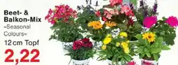 Jawoll Beet & Balkon-Mix Angebot