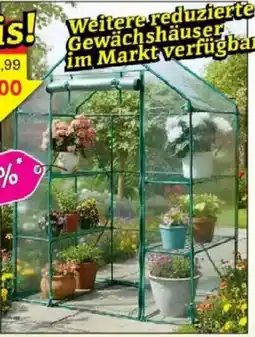 Jawoll Begehbares Gewächshaus Angebot