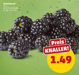 PENNY Brombeeren Angebot