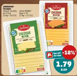 PENNY LINDENHOF Cheddar Angebot