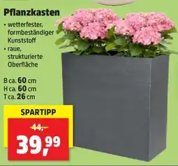 Thomas Philipps Pflanzkasten Angebot