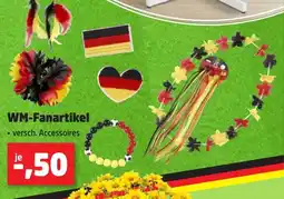 Thomas Philipps WM-Fanartikel Angebot