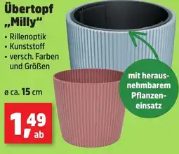 Thomas Philipps Übertopf ,,Milly" Angebot