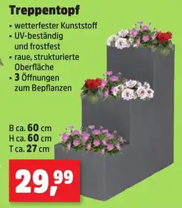 Thomas Philipps Treppentopf Angebot