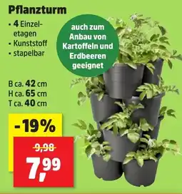 Thomas Philipps Pflanzturm Angebot